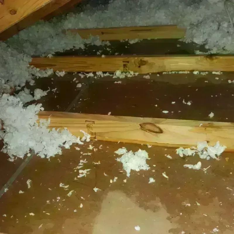 Attic Water Damage in Four Corners, FL