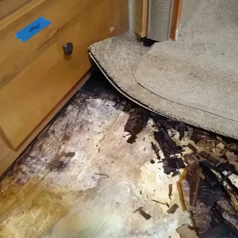 Wood Floor Water Damage in Four Corners, FL